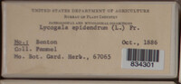Image Associated With the Occurence